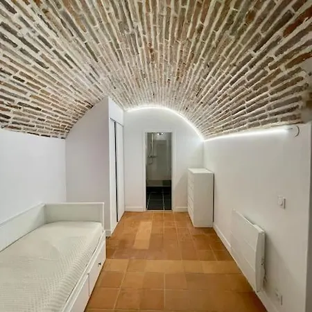 Les Voutes De Mila Apartment Montauban