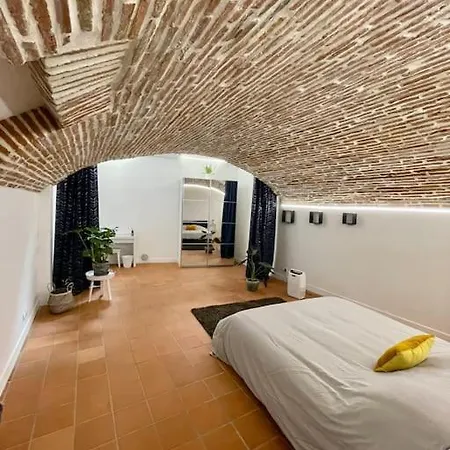 Les Voutes De Mila Apartment Montauban